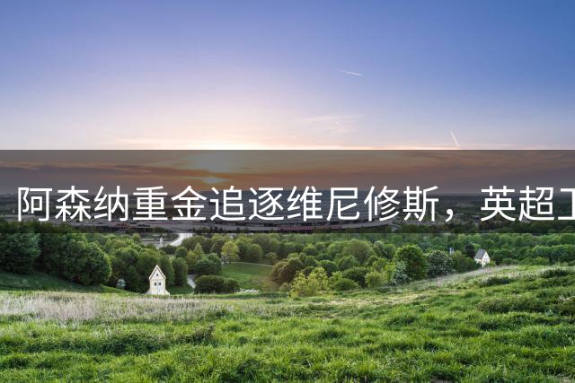 阿森纳重金追逐维尼修斯，英超卫冕之路再添强援